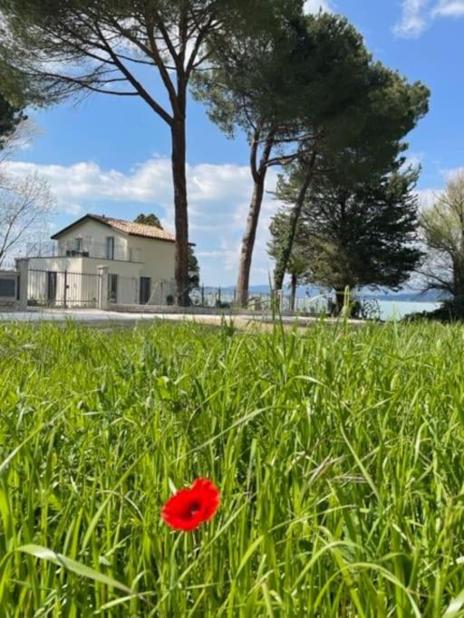 The Boathouse, At The Magione